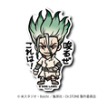 Dr. Stone - Senku Ishigami Small Sticker (B-SIDE LABEL)