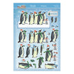 A Very Merry Christmas Deco-Large Set - Penguin Parade