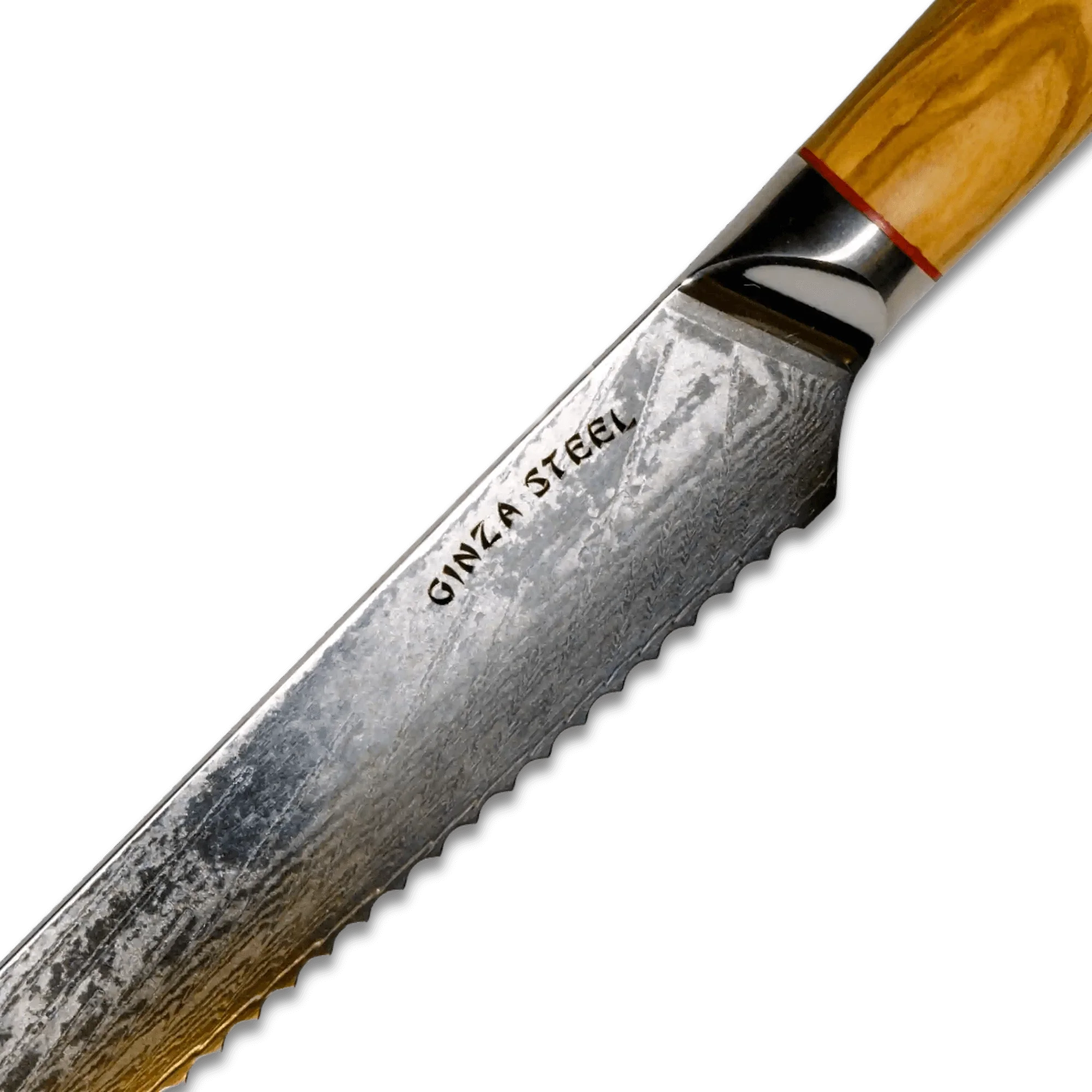 MIA Z | BREAD KNIFE 8