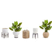 Miki Artificial Spathiphyllum Leaf Potted Plant 3'