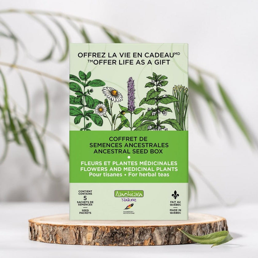 Coffret | Fleurs & Plantes médicinales