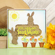 Moonstone Dies - Radiant Sentiments - Sunshine in Spring