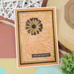 Moonstone Embossing Folders - Tiger Stripes