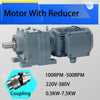 3 Phase Asynchronous Electric Motor With Reducer 220V 380V