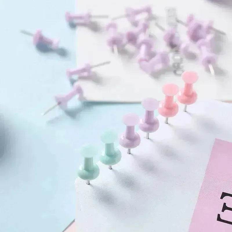 Macaron Color Boxed Push Pin Simple Creative Large Small Size Plastic Pushpin Office Supplies