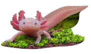 Madd Capp Puzzles - I Am Lil' Axolotl (100 Pc)