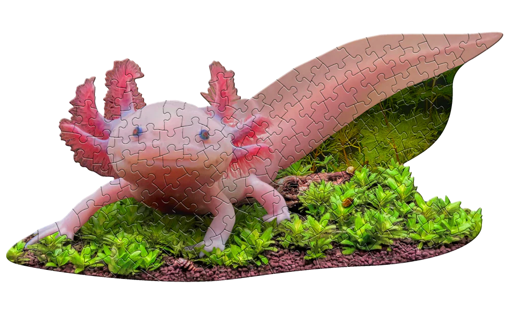 Madd Capp Puzzles - I Am Lil' Axolotl (100 Pc)