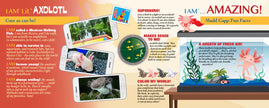Madd Capp Puzzles - I Am Lil' Axolotl (100 Pc)