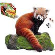 Madd Capp Puzzles - I Am Lil Red Panda (100-Piece Puzzle)