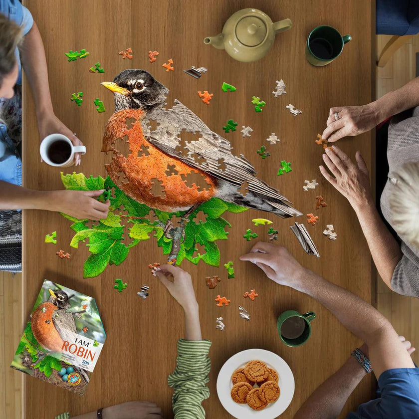 Madd Capp Puzzles - I Am Robin (300 Pc)