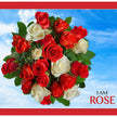 Madd Capp Puzzles - I Am Rose (350-Piece Puzzle)