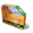 Madd Capp Puzzles - I Am Sugar Maple (1000 Pc)