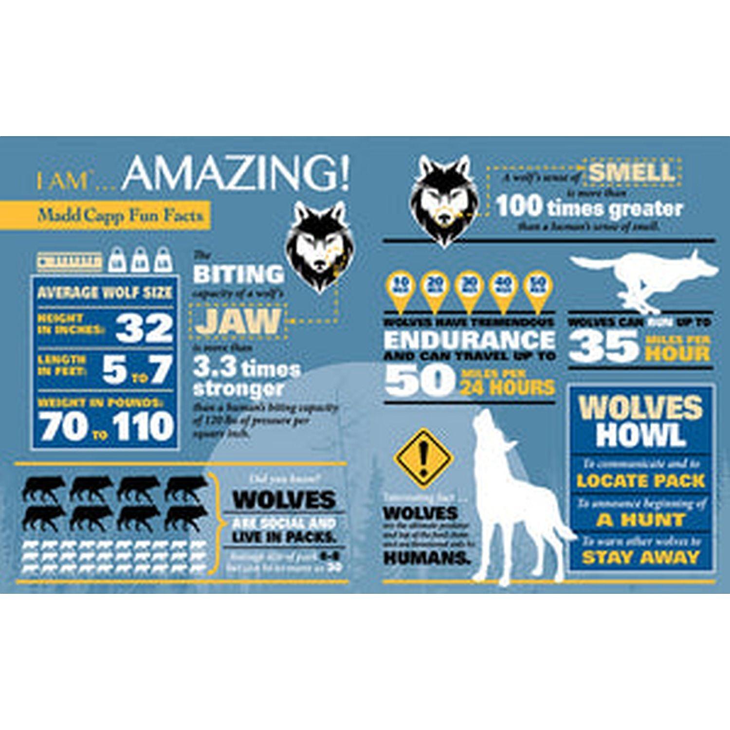 Madd Capp Puzzles - I Am Wolf (300-Piece Puzzle)