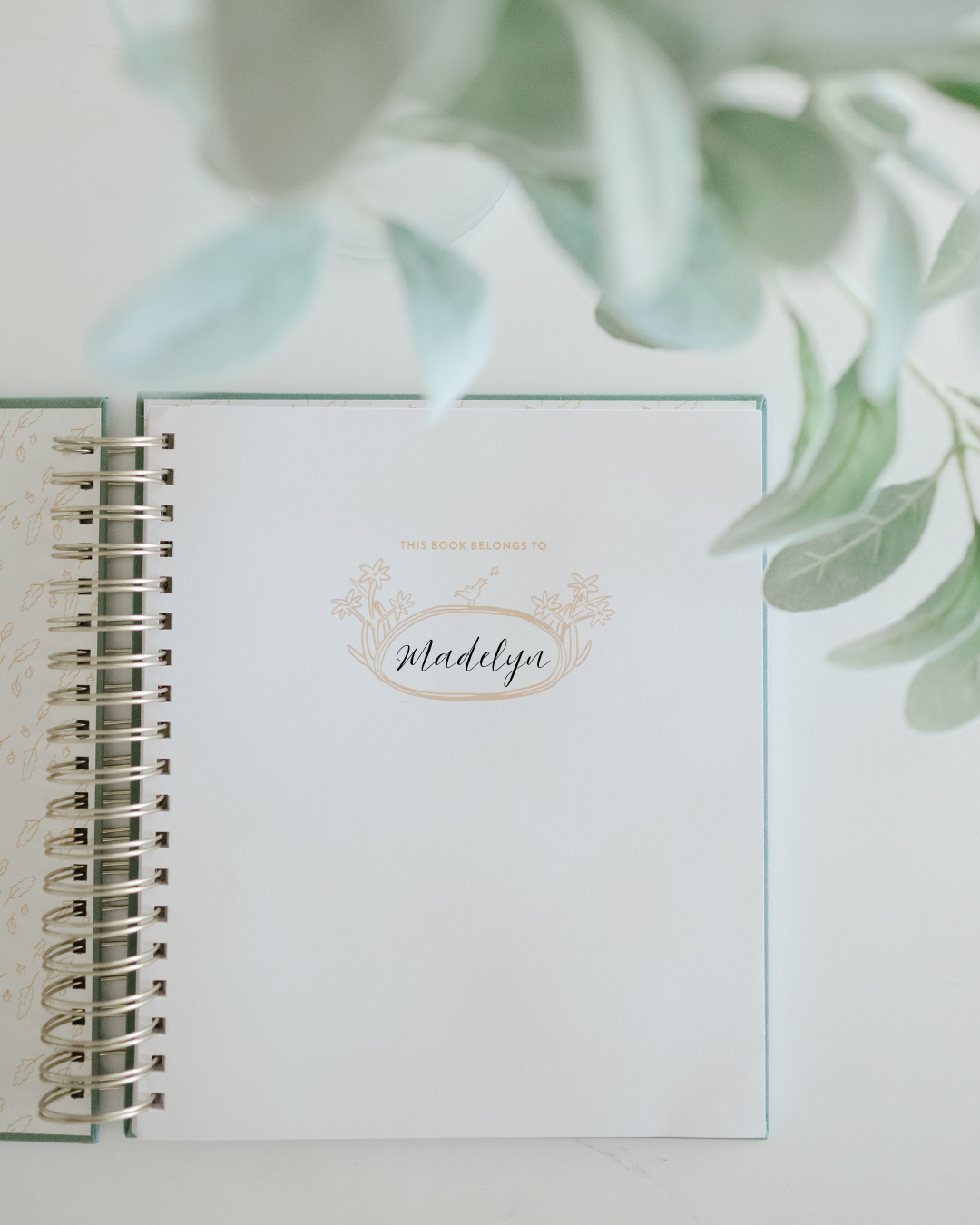 The Baby Book