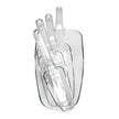 Main d'épicier en polycarbonate