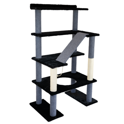 (Pre-Order) Maine Coon 65