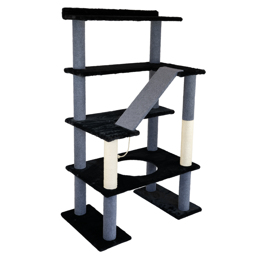 (Pre-Order) Maine Coon 65