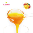 Mango | Multi-Use | Bubble Tea Syrup | Fruit Puree | Fruit Smoothie Mix | Foodservice Canada | Ships Free Within Canada on Orders Above CAD $199