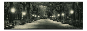 The Mall in Central Park 72