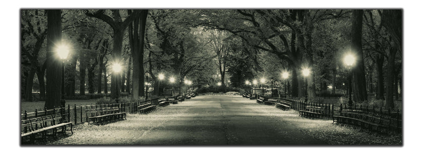 The Mall in Central Park 72