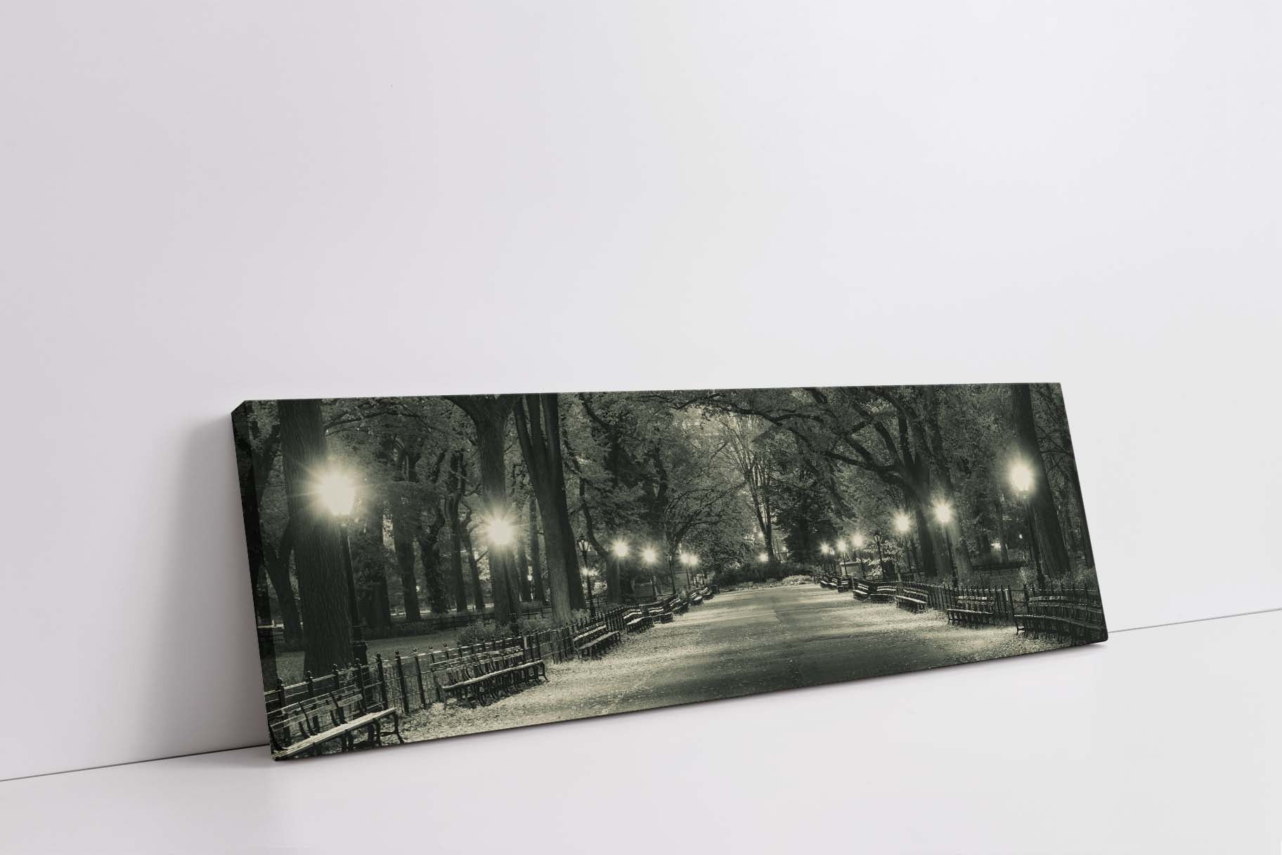 The Mall in Central Park 72