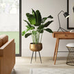 Sara - Brass Planter With Black Legs