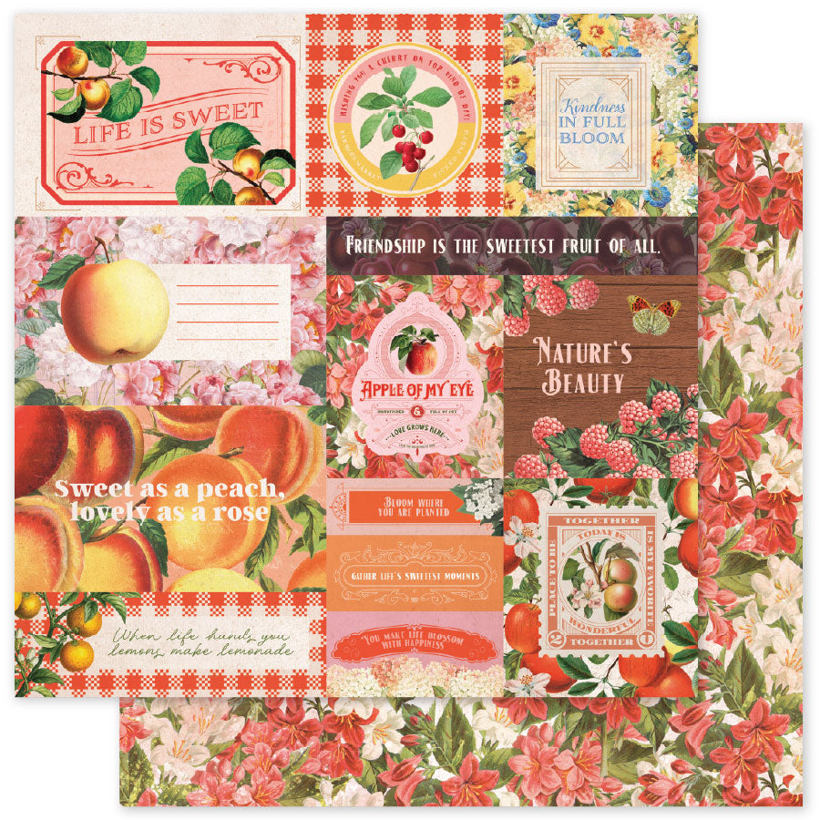 Meadowbrook Farm Basics A 12 x 12 Paper (12 pc Bulk Pack) 35046