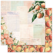 Meadowbrook Farm Basics 12x12 Paper Collection 35043