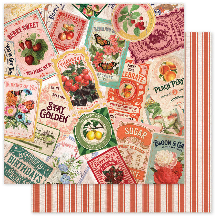 Meadowbrook Farm Basics E 12 x 12 Paper (12 pc Bulk Pack) 35058