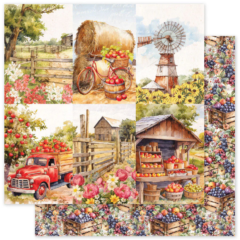 Meadowbrook Farm C 12 x 12 Paper (12 pc Bulk Pack) 35028