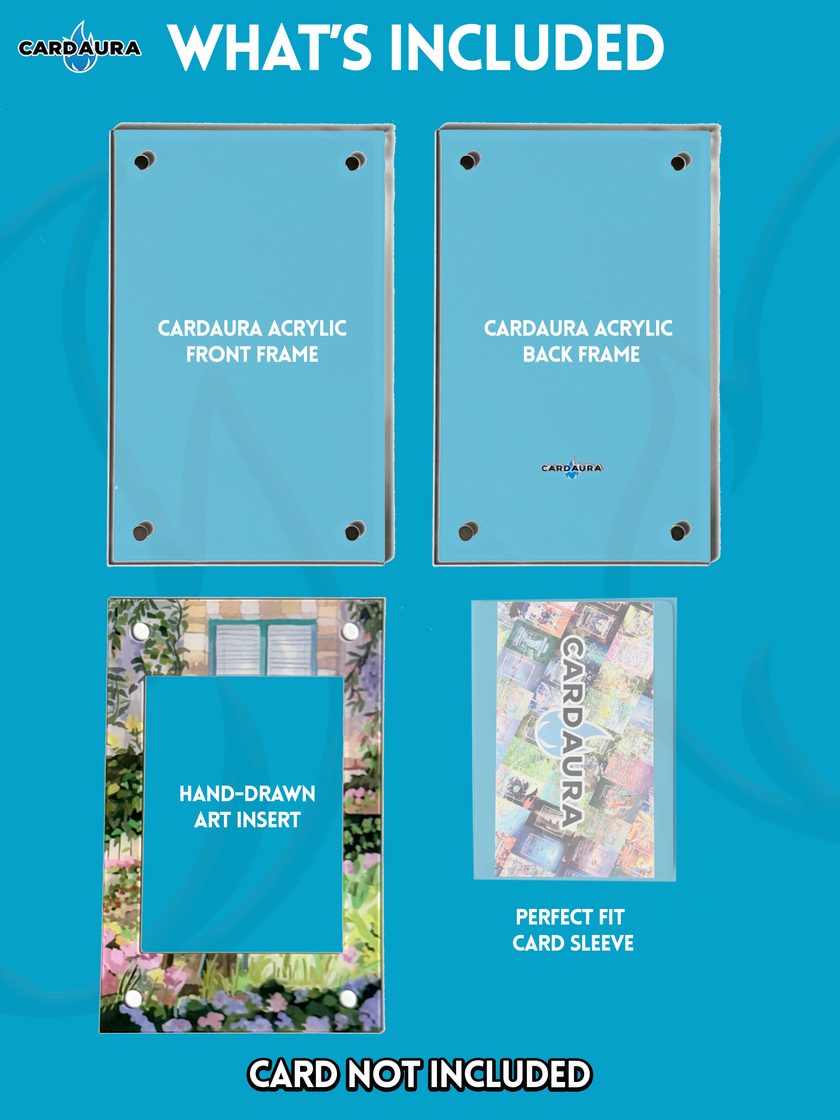 Charizard EX JP 276/XY-P Promo (Ungraded) Display Case