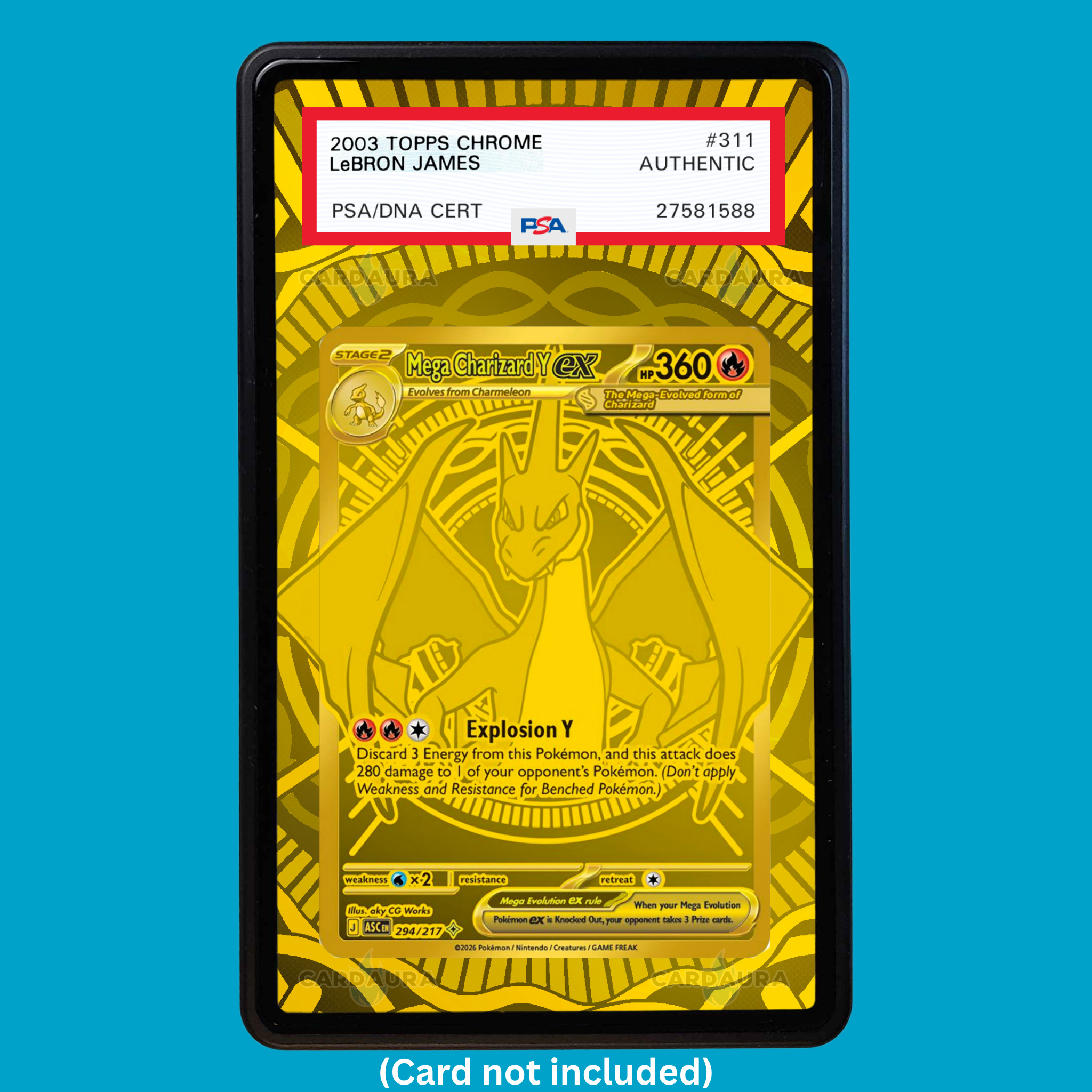 Mega Charizard Y EX 294/217 (Graded) Display Case
