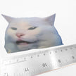 Meme Cat Smudge | Vinyl Sticker