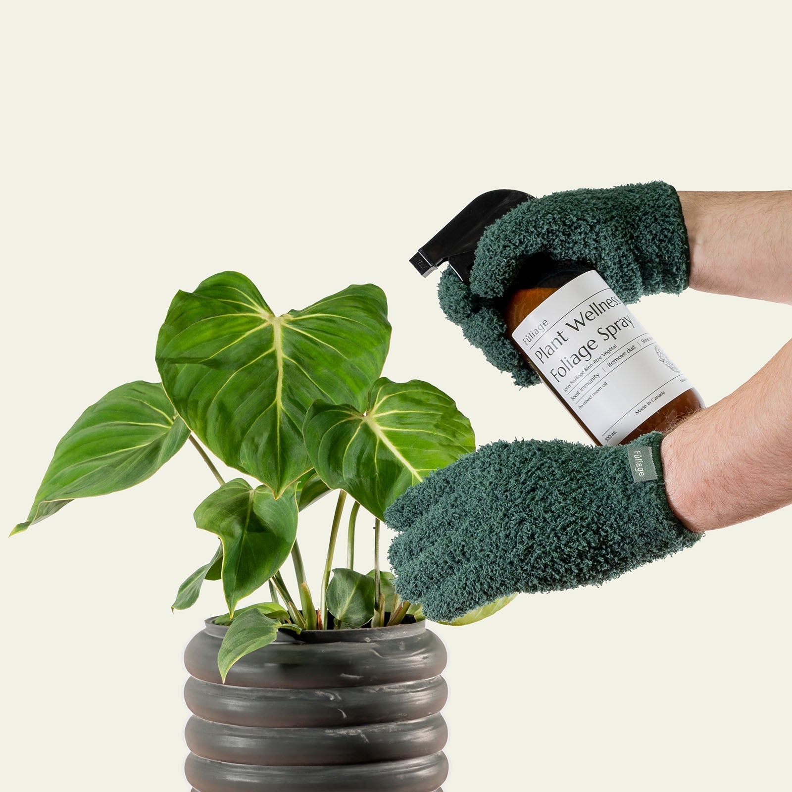 Complete Plant Care Trio