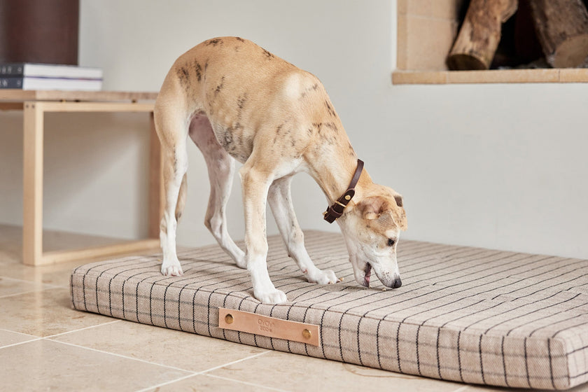 Milo Grid Dog Cushion - Large
