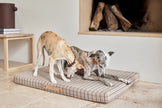 Milo Grid Dog Cushion - Large
