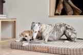 Milo Grid Dog Cushion - Medium