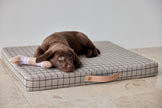 Milo Grid Dog Cushion - Medium
