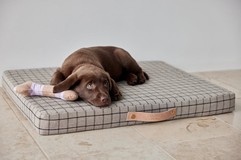 Milo Grid Dog Cushion - Medium