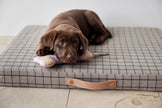 Milo Grid Dog Cushion - Small
