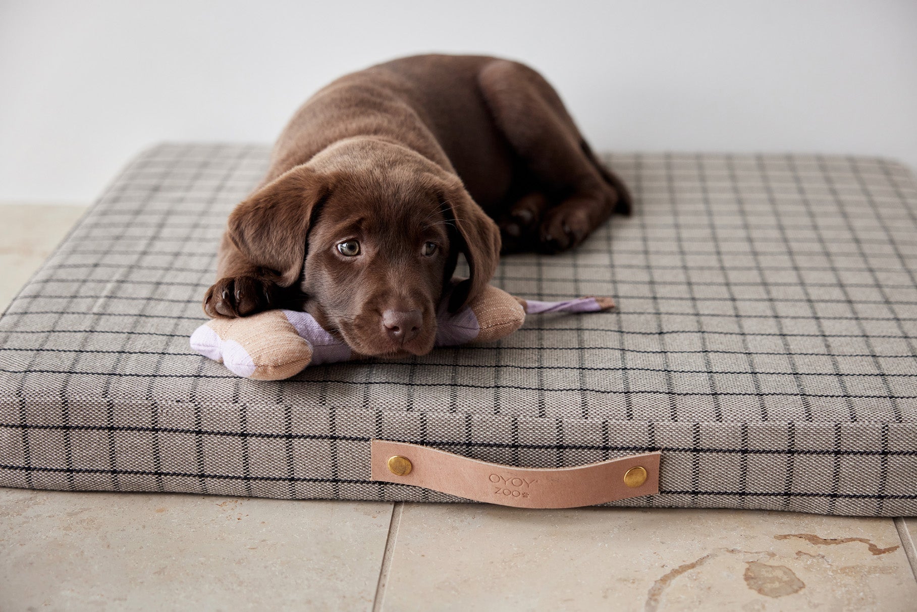 Milo Grid Dog Cushion - Small