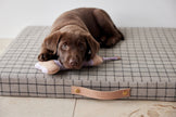 Milo Grid Dog Cushion - Small