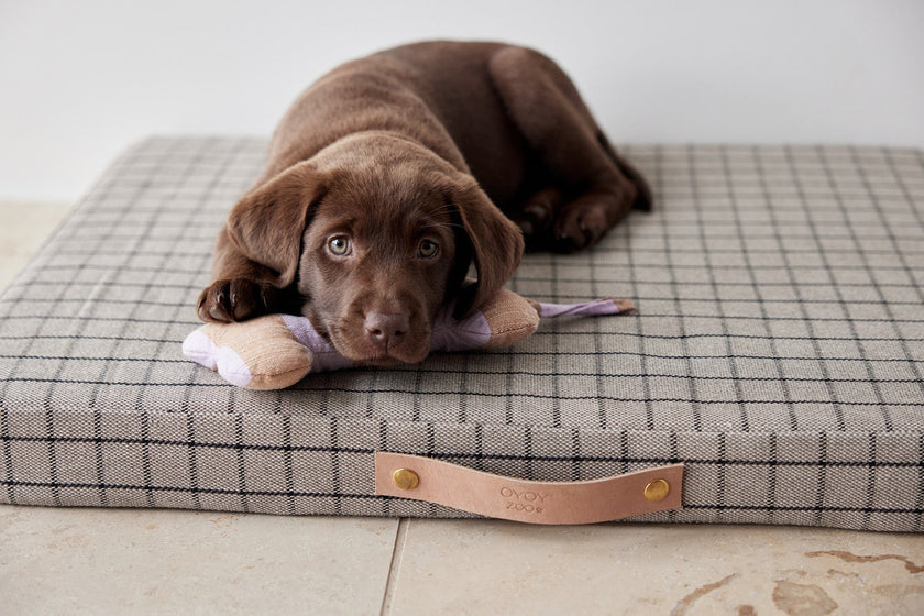 Milo Grid Dog Cushion - Small