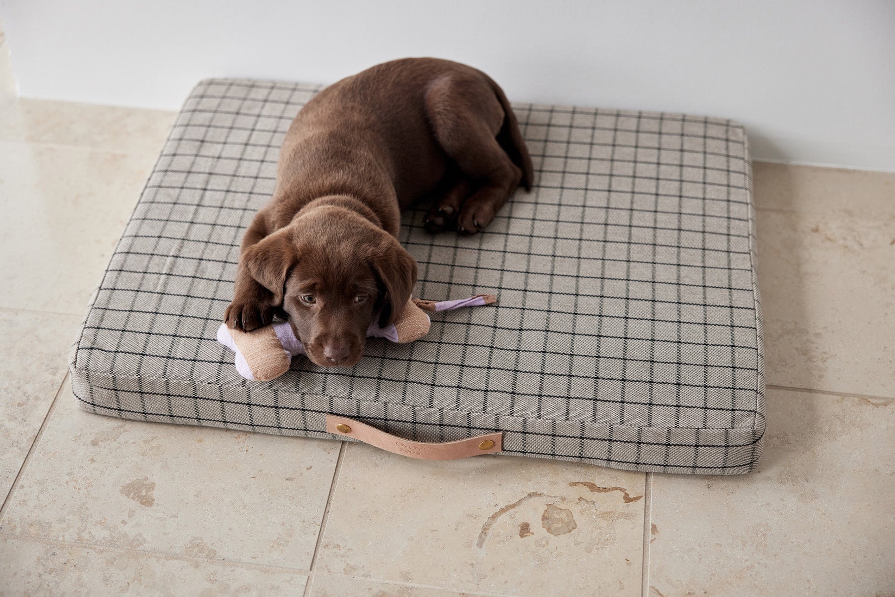 Milo Grid Dog Cushion - Small