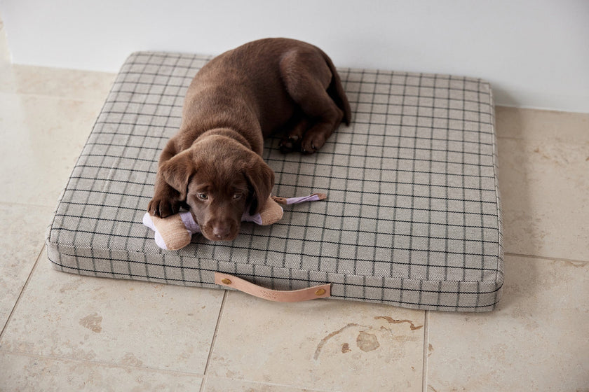 Milo Grid Dog Cushion - Small