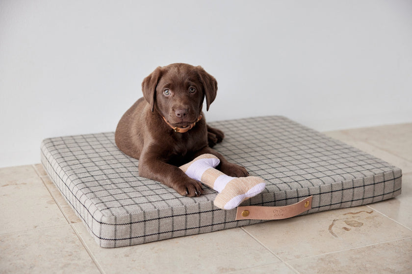 Milo Grid Dog Cushion - Small