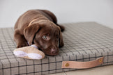 Milo Grid Dog Cushion - Small