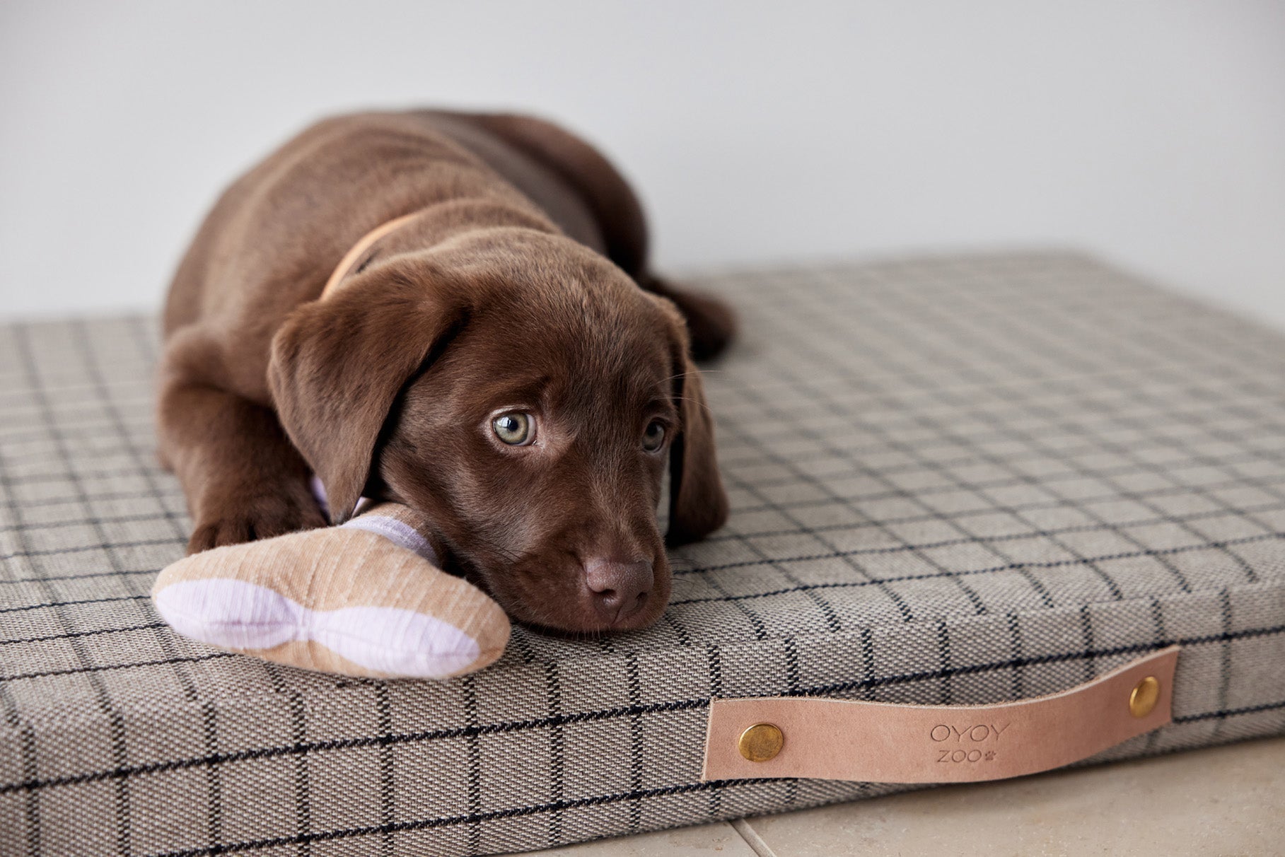 Milo Grid Dog Cushion - Small