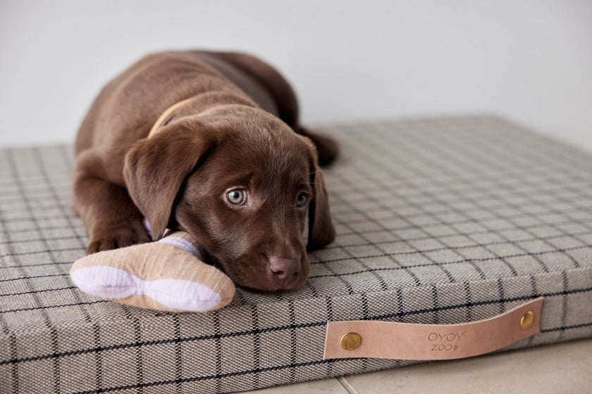 Milo Grid Dog Cushion - Small