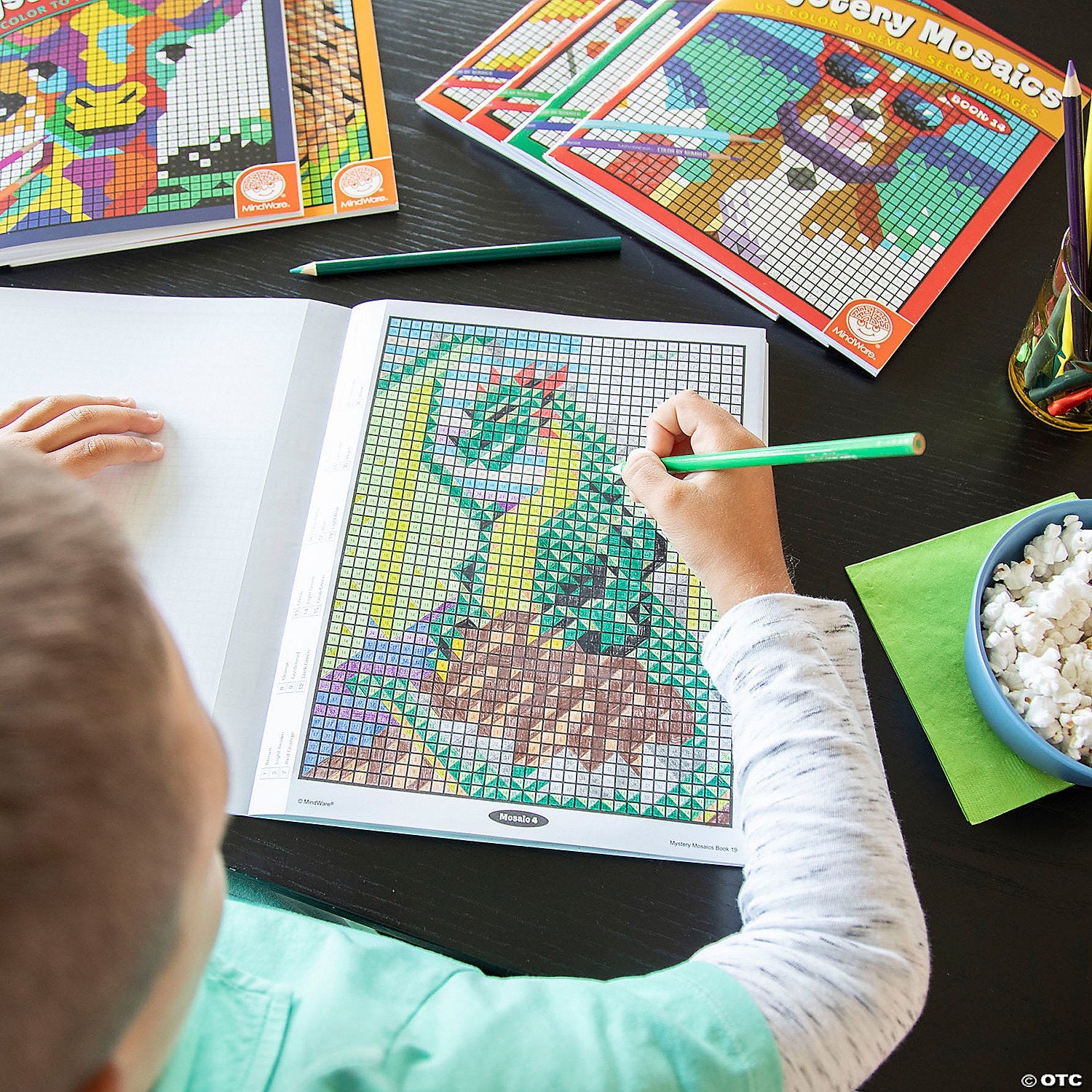 Mindware - CBN Mystery Mosaics: Book 19